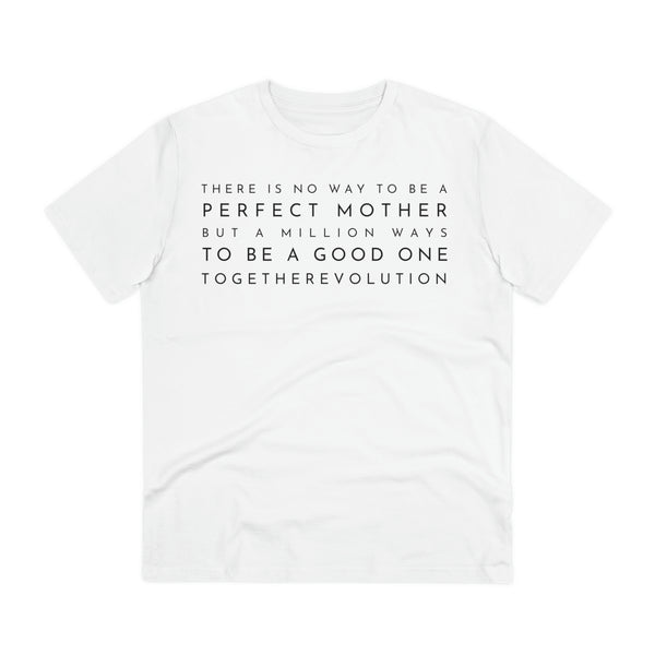 No Perfect Mother